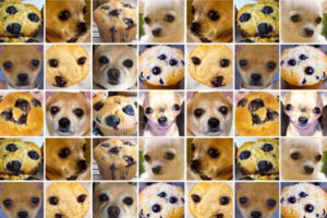 Chihuahua vs Muffin